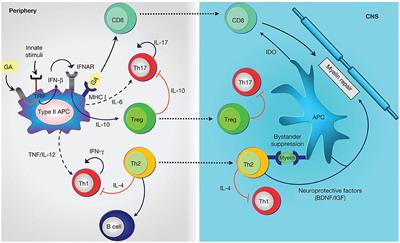 Treatment Challenges in Multiple Sclerosis – A Continued Role for Glatiramer Acetate?